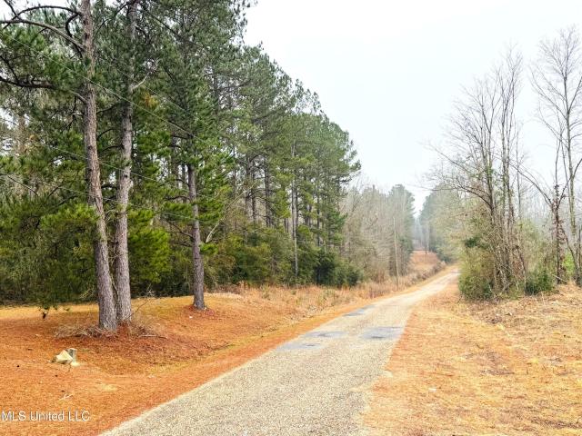 Land for sale in Tylertown, Mississippi