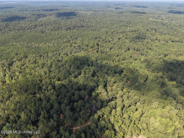 Land for sale in Bude, Mississippi