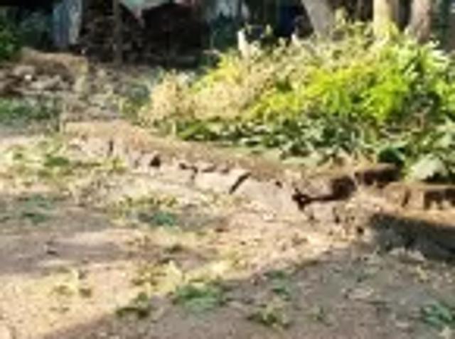 Property for sale in Kochi, Kerala