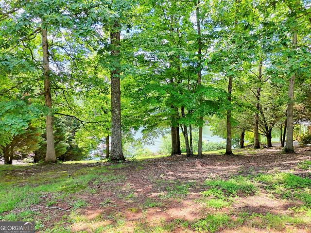 Land for sale in Hiawassee, Georgia