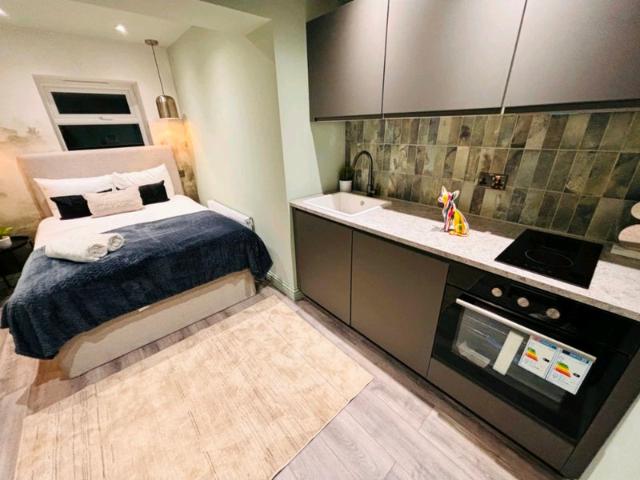 Studio for rent in Streatham, Greater London
