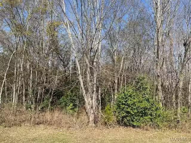House for rent in Hope Hull, Alabama