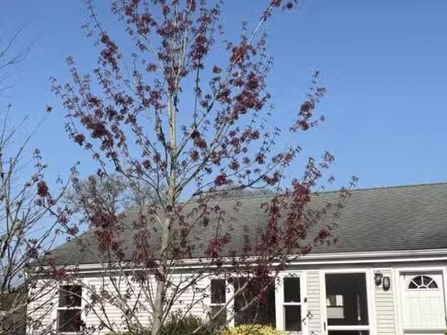 Apartment for rent in Barnstable
