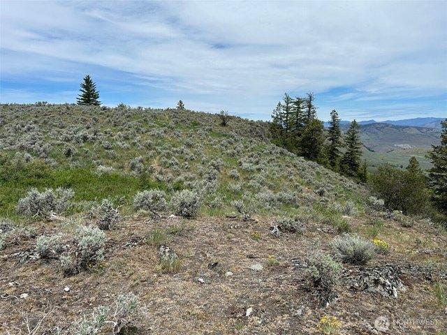 Land for sale in Oroville, Washington