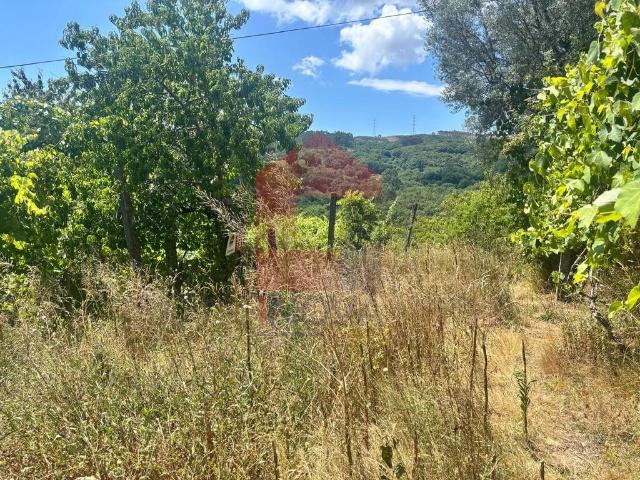 Terreno venda em Ribeira do Neiva, Vila Verde