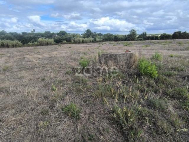 Terreno venda em Casais dos Penedos, Cartaxo