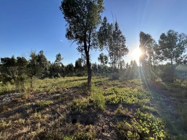 Terreno venda em Tomar, Suimo