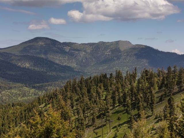 Land for sale in Granite, Montana