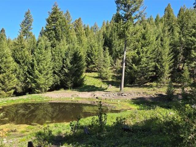 Land for sale in Granite, Montana