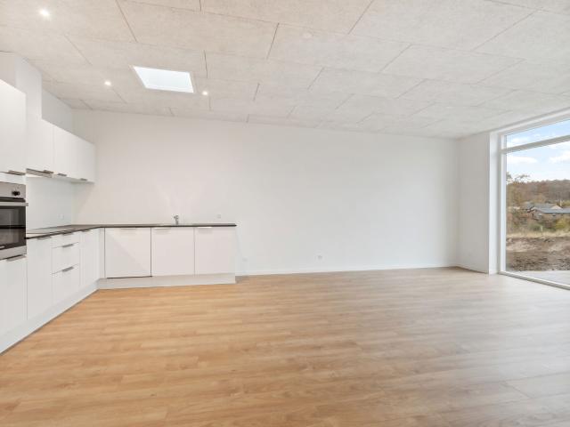 Hus til leje i Borup, Køge