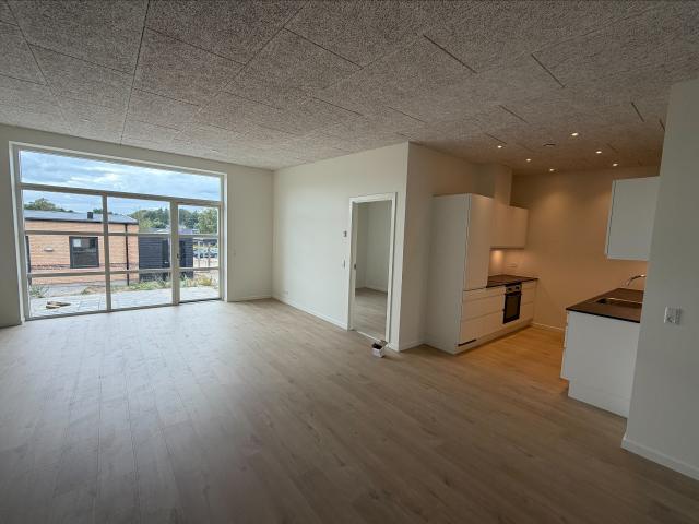 Hus til leje i Silkeborg, Århus