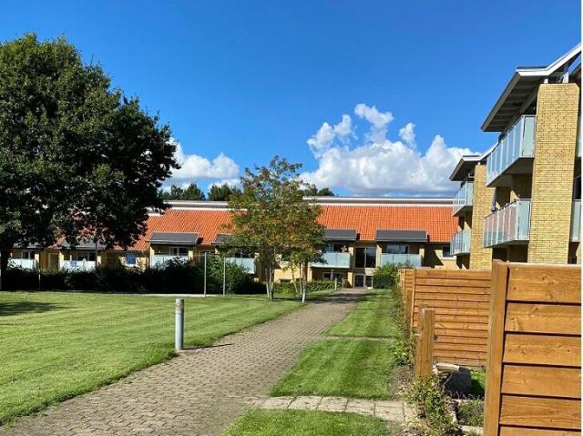 Hus til leje i Århus