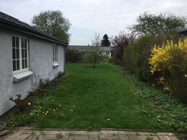Hus til leje i Odense