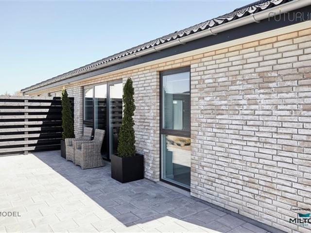 Hus til leje i Odense, Odense Kommune