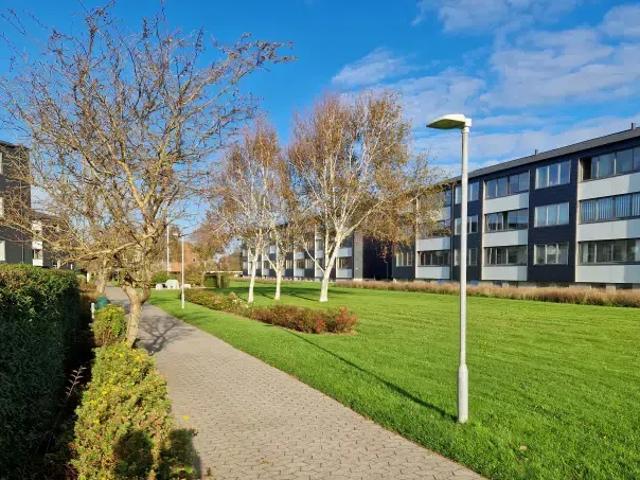 Lejlighed til leje i Ringkøbing, Århus