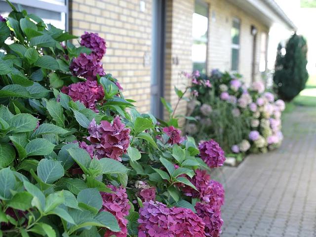 Hus til leje i Vorbasse, Billund