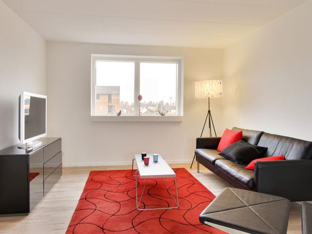 Hus til leje i Odense