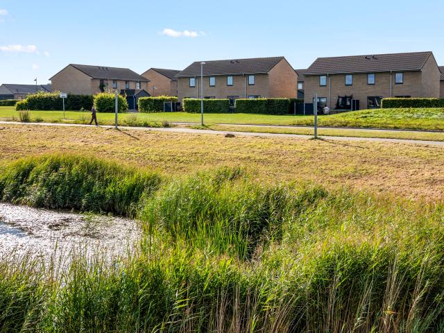 Hus til leje i Børkop, Vejle