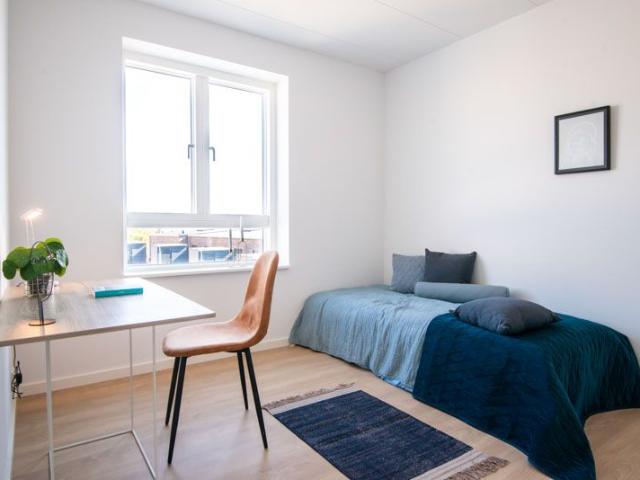 Hus til leje i Odense