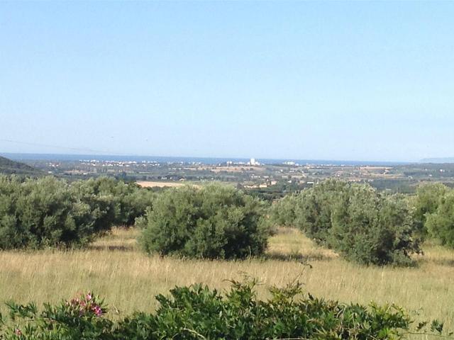 Appartamento in vendita a Valpiana, Massa Marittima