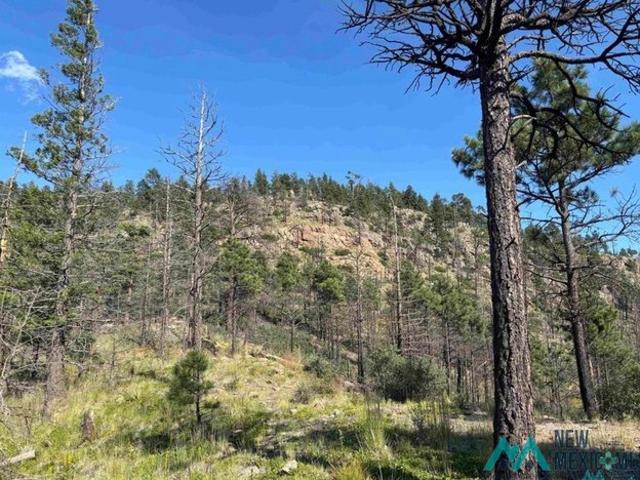 Land for sale in Mora, Mora County
