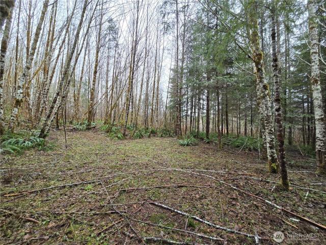 Land for sale in Elma, Washington