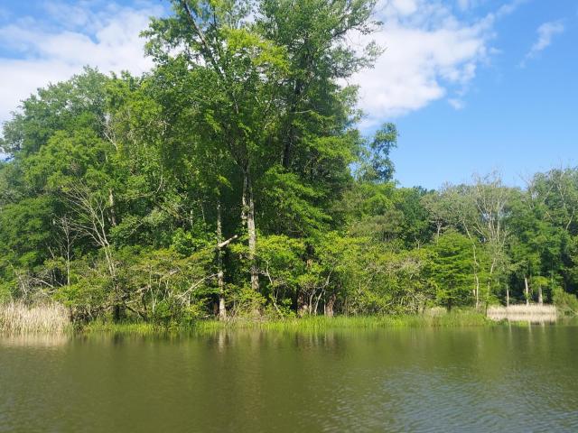 Land for sale in Tennessee