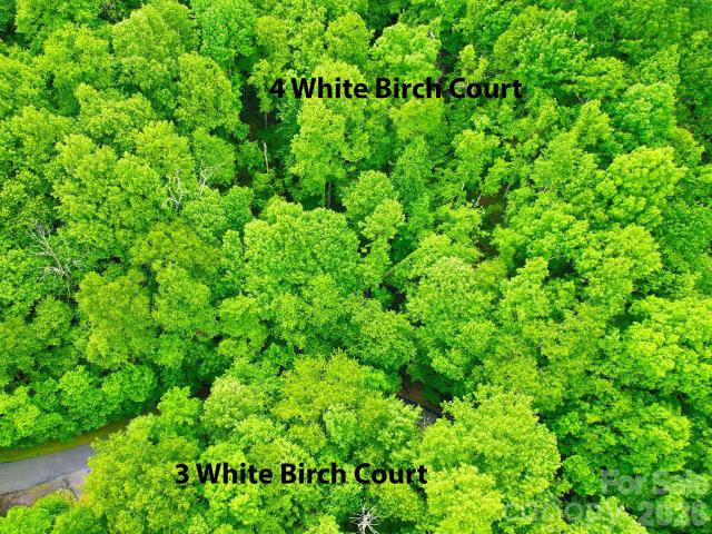 Land for sale in Black Mountain, North Carolina