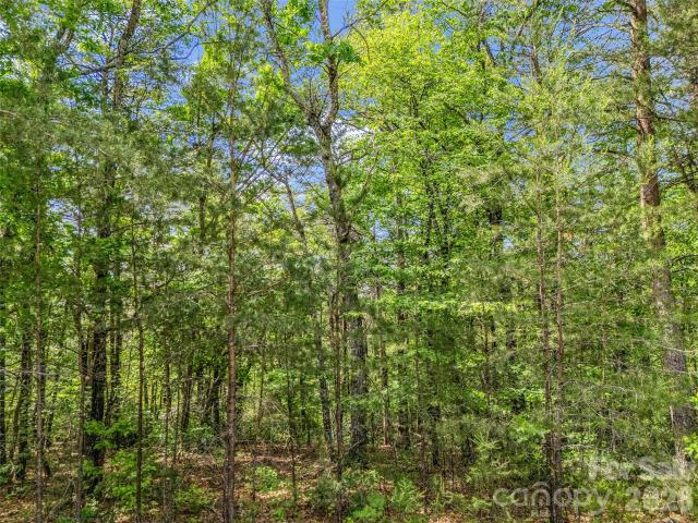 Land for sale in North Carolina