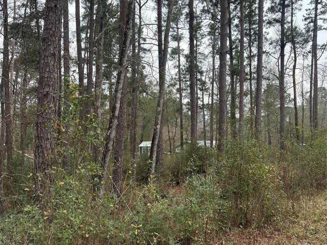 Land for sale in Walker, Texas