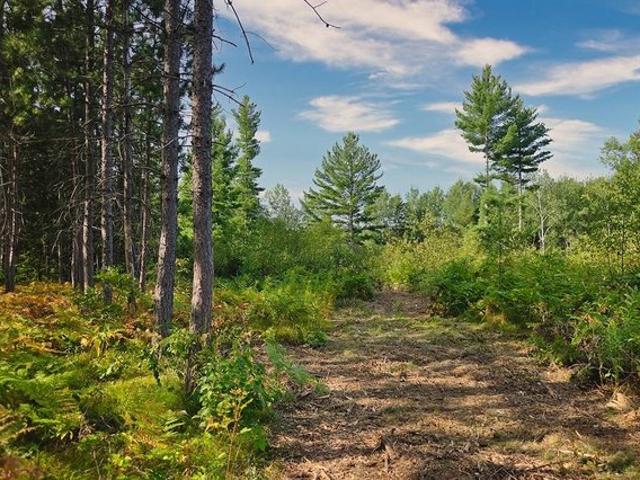 Land for sale in Tomahawk, Wisconsin