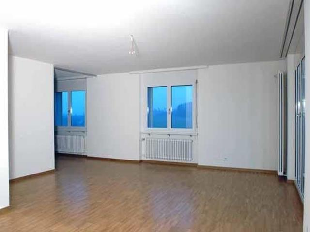 Apartment mieten in Baltenswil, Bassersdorf