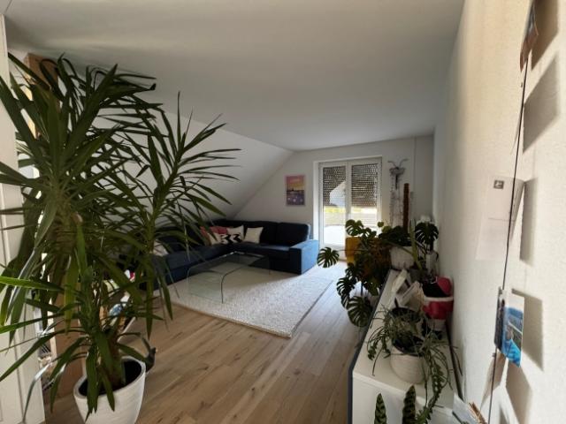 Wohnung mieten in Bern