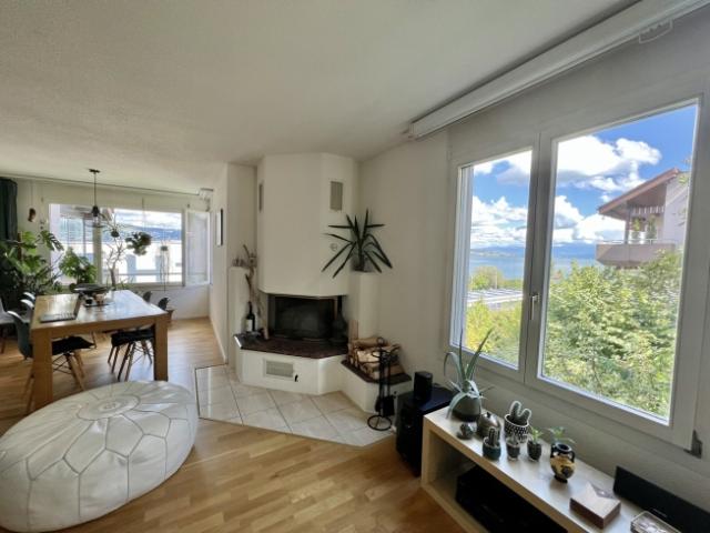 Wohnung mieten in Wädenswil, Bezirk Horgen