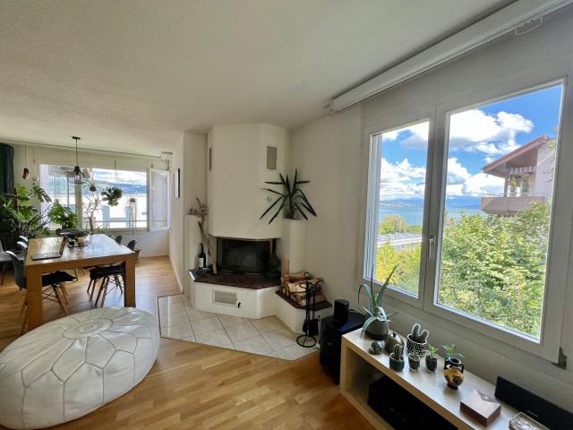 Wohnung mieten in Wädenswil, Zürich