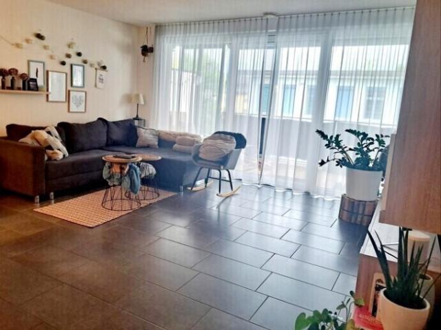 Wohnung mieten in Zofingen, Aargau
