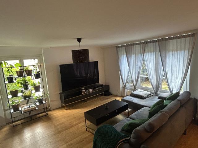 Wohnung mieten in Einigen, Zürich