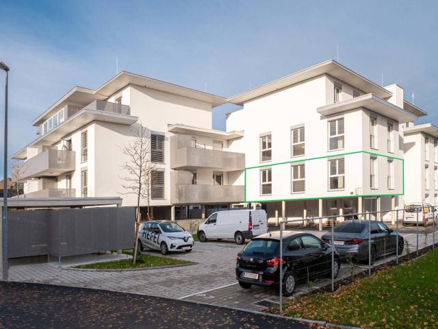 Apartment mieten in Lustenau