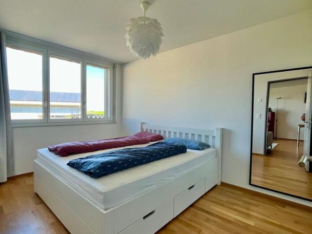 Apartment mieten in Wiesendangen, Zürich