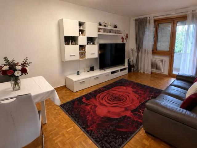 Apartment mieten in Massagno, Tessin