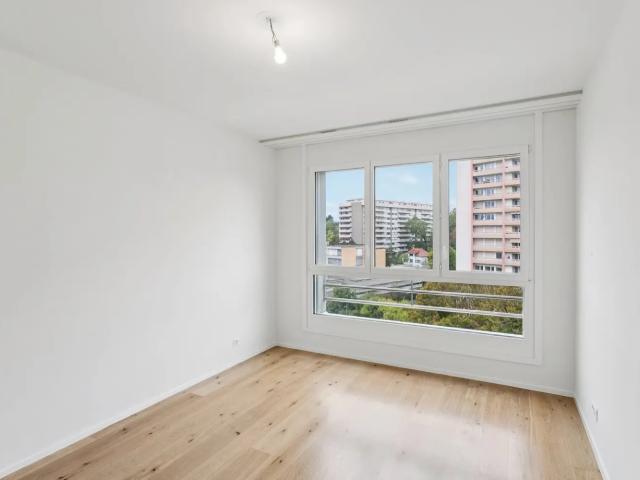 Apartment mieten in Petit-Lancy, Lancy