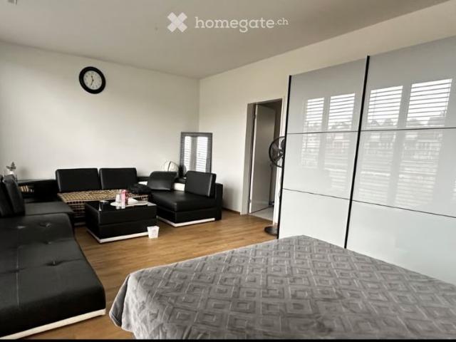 Apartment mieten in Wallisellen, Zürich