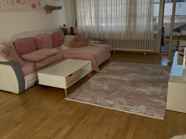 Apartment mieten in Reinach (BL), Basel-Landschaft