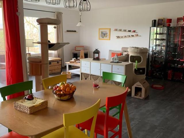 Apartment mieten in Orbe, District du Jura-Nord vaudois