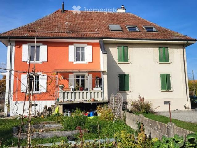 Apartment mieten in Payerne, Waadt