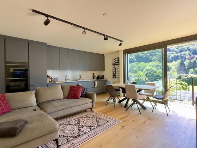Apartment mieten in Camignolo, Monteceneri