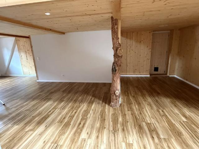 Apartment mieten in Dickbuch, Elgg
