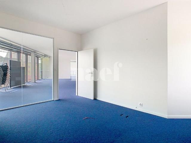 Haus mieten in Chexbres, Waadt
