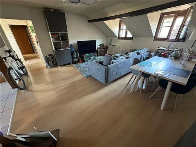 Apartment mieten in Carouge (GE)