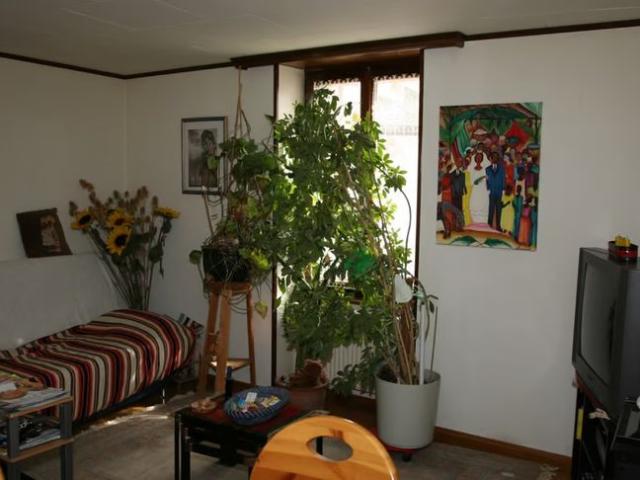 Apartment mieten in Bex, Waadt